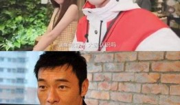 娱乐圈吃瓜一周年,回顾热点事件，揭秘幕后真相